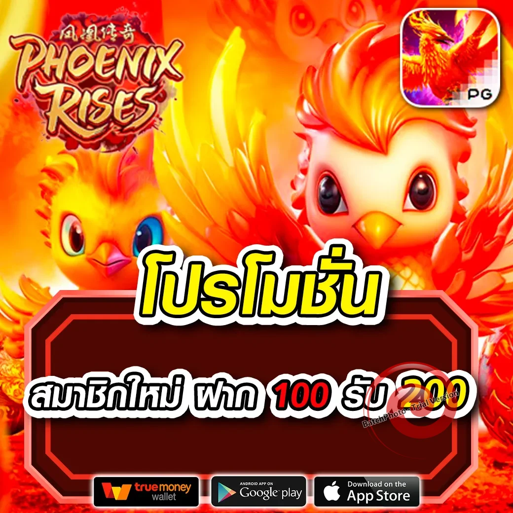 sora168 ทางเข้า
